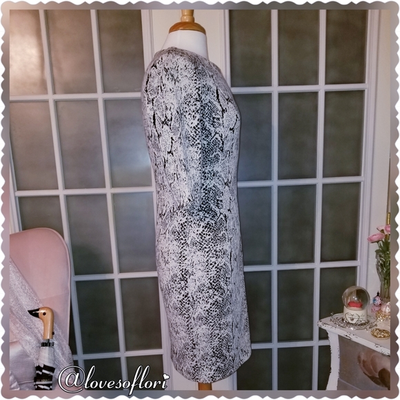 Marvin Richards Reptile - Picture 5 of 6